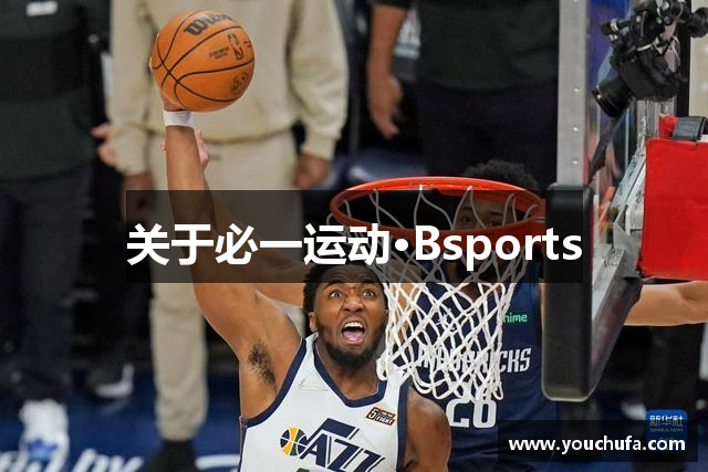 关于必一运动·Bsports